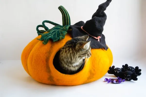 MeowFelt16.jpg