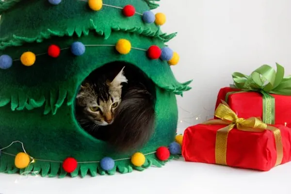MeowFelt19.jpg