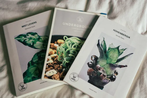 珍奇植物藏家Yen Hao Chen