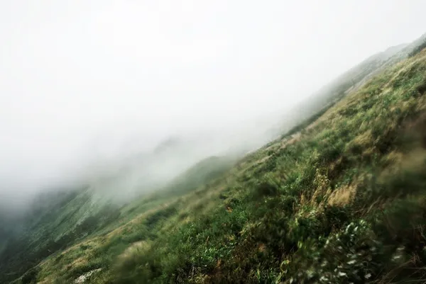 石川竜一Ｘ川島小鳥