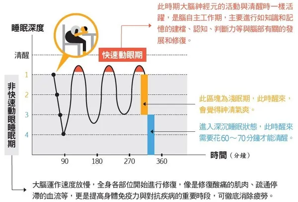 午睡 20 分鐘.JPG