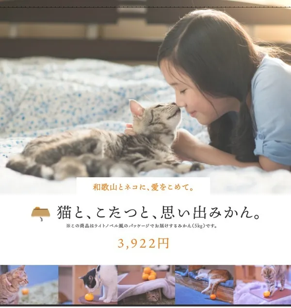 橘子-貓暖爐桌-top_pc.jpg