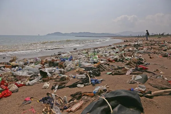 海廢圖鑑5.jpg
