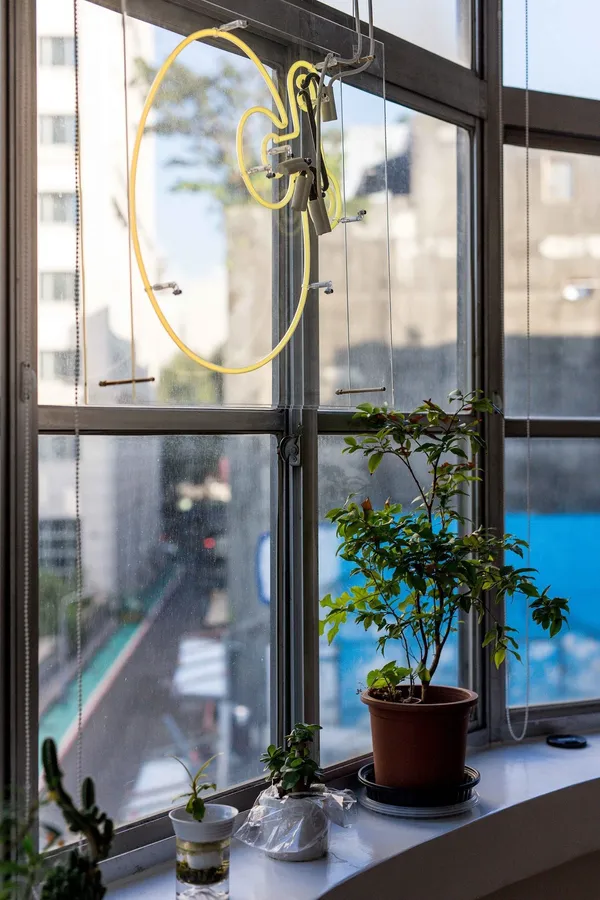 danzo studio