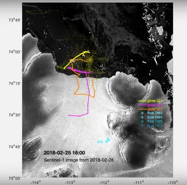 Screen Shot 2019-01-24 at 4.44.38 PM.png