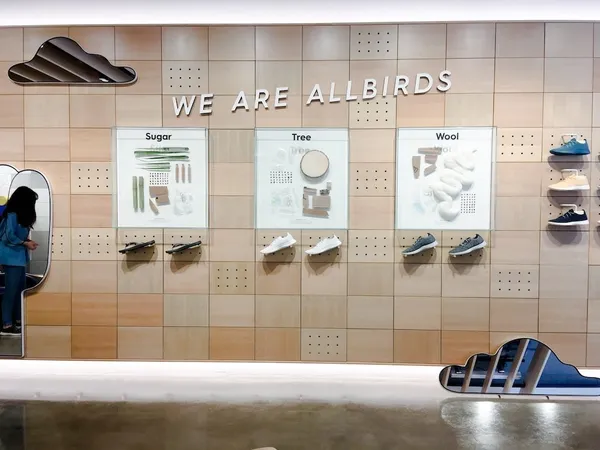 allbirds-material.jpg