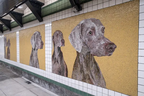 紐約地鐵-威瑪犬.jpg
