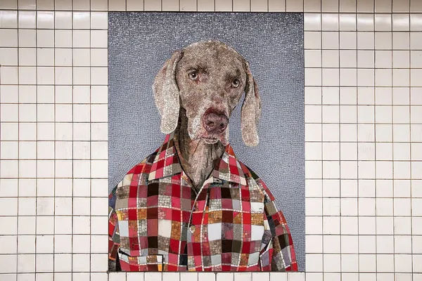 紐約地鐵-威瑪犬.jpg