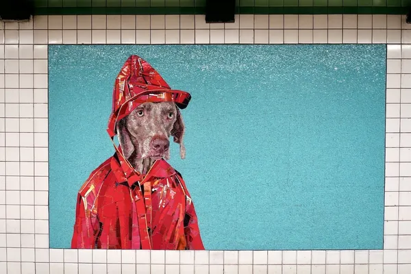 紐約地鐵-威瑪犬.jpg