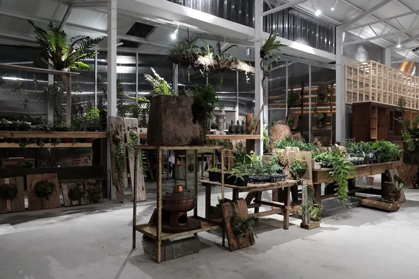 空氣圖書館＿使用各種老物件做為陳列道具，讓原生的木料與植栽呈現出最質樸的風格.JPG