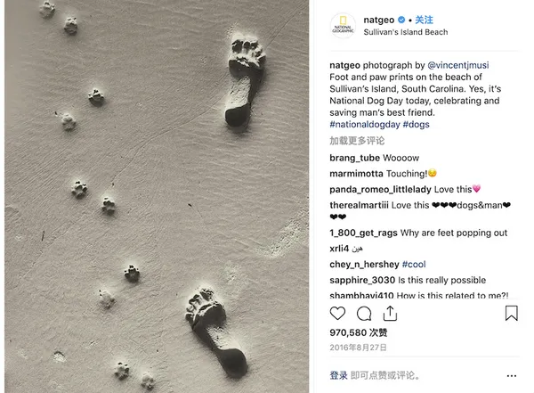 國家地理IG粉絲破億2.png