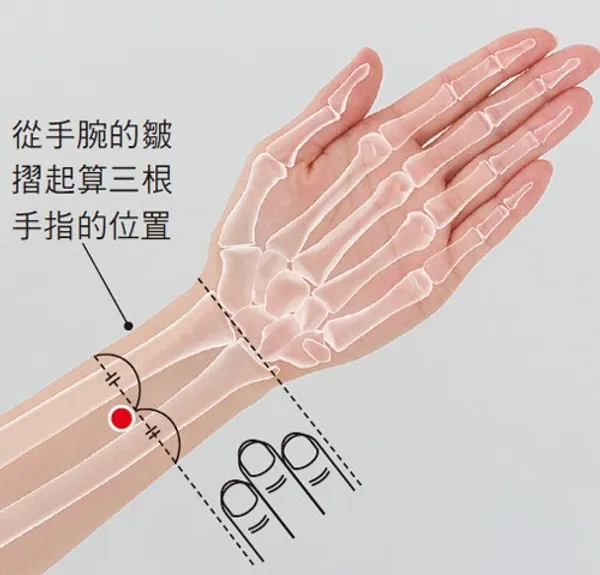 不靠藥物降血壓_內關穴_1.jpg