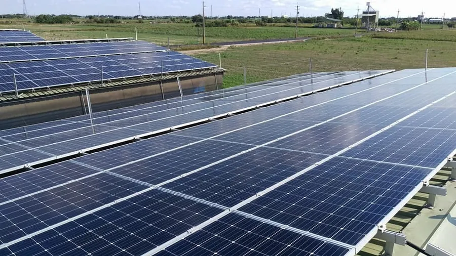 台灣再生能源前景看好：太陽光電競爭力倍增，生質能商機大