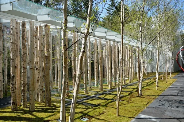 彷彿隱形於森林裡！結合樹木、蘚苔自然元素，隈研吾操刀輕井澤「白樺森林教堂」
