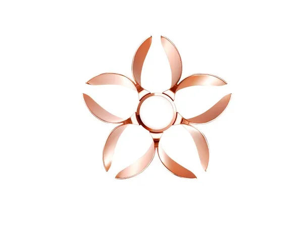 2020東京奧運聖火03.jpg