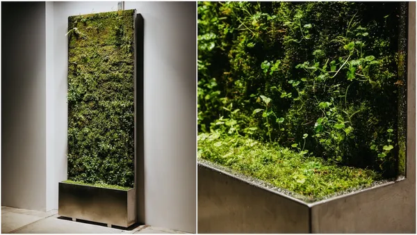 植一片療癒綠意！3年時間研發，台灣首座能讓苔蘚”垂直”生長的「FENKO MOSS 智能苔牆」