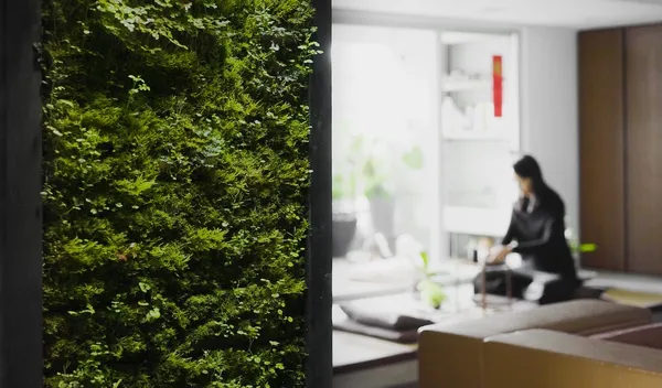 MICRO DRIFT 智能苔牆 image02.jpg