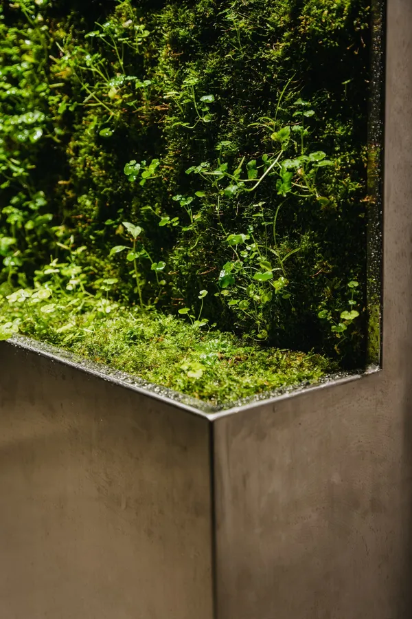 MICRO DRIFT 智能苔牆 image09.jpg