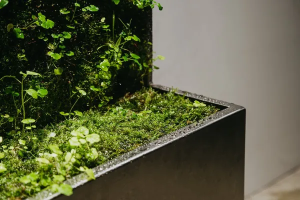 MICRO DRIFT 智能苔牆 image10.jpg