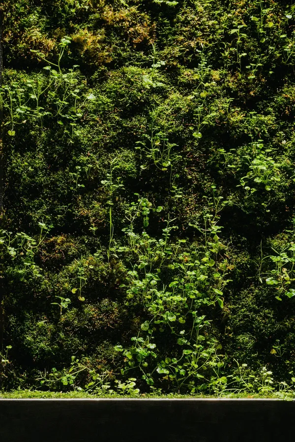 MICRO DRIFT 智能苔牆 image07.jpg