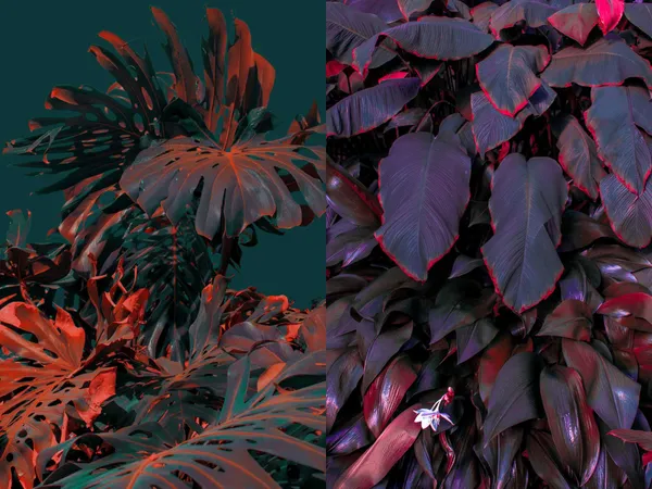 strangeleaves02.png