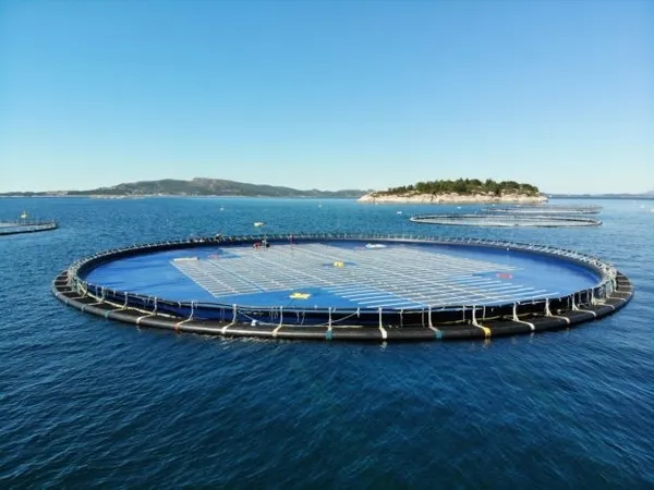 外觀有如水上彈跳床，挪威新創Ocean Sun推全新水面太陽能形式 