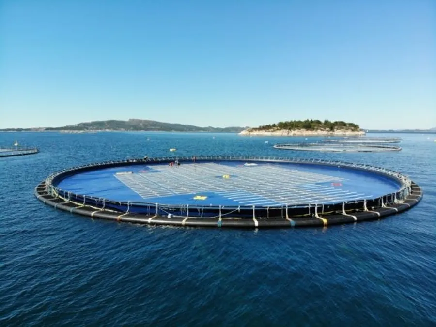 外觀有如水上彈跳床，挪威新創Ocean Sun推全新水面太陽能形式