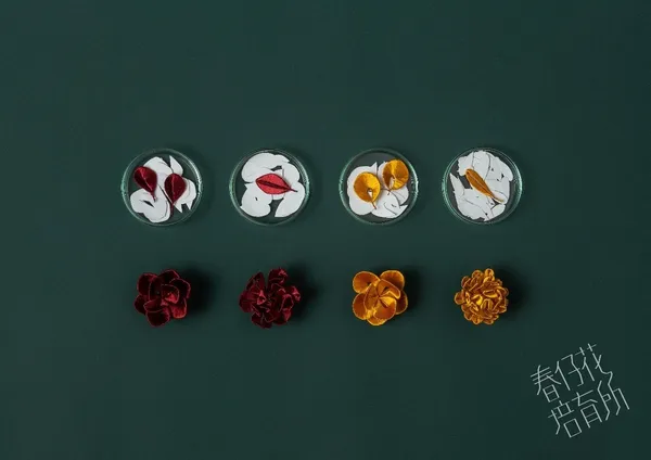 春仔花培育所改良紙片形狀製作的新型態春仔花.jpg