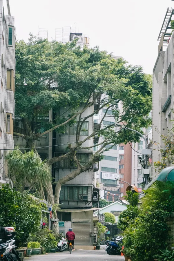 用鏡頭看見潮州街1.jpg
