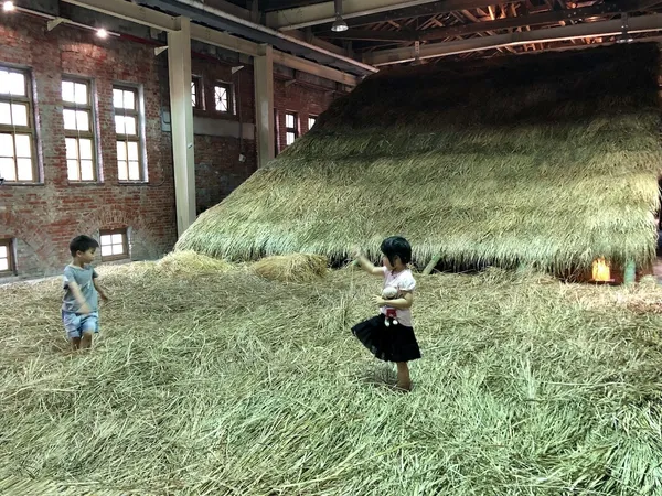 文博臺東館IMG_1585.jpg
