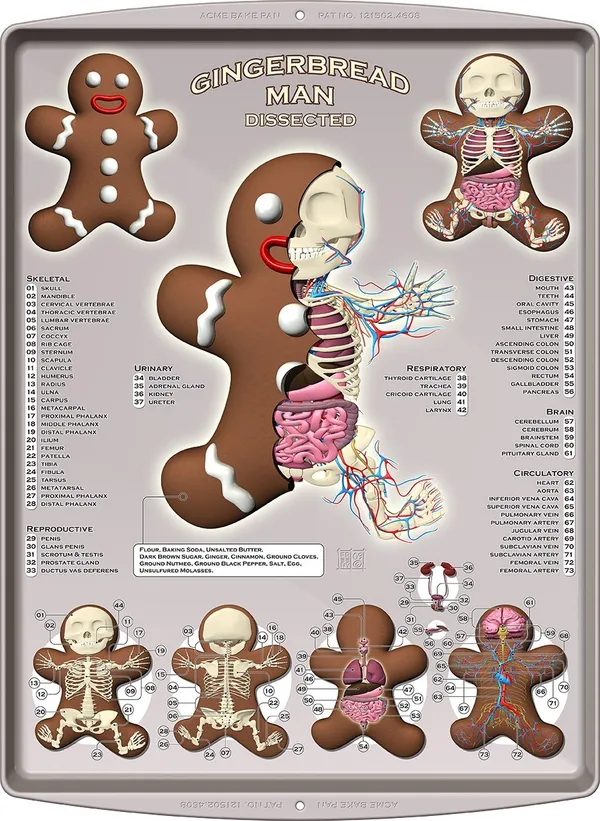 玩具解剖展_Gingerbread Man Dissected s.jpg