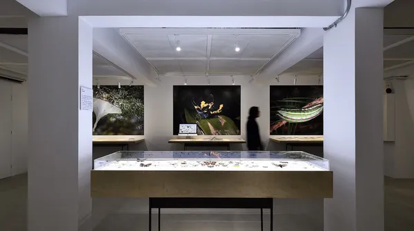 森山蛾特展＿展場攝影紀錄-03【照片提供｜森3 SUN SUN MUSEUM、攝影｜汪德範】.jpg