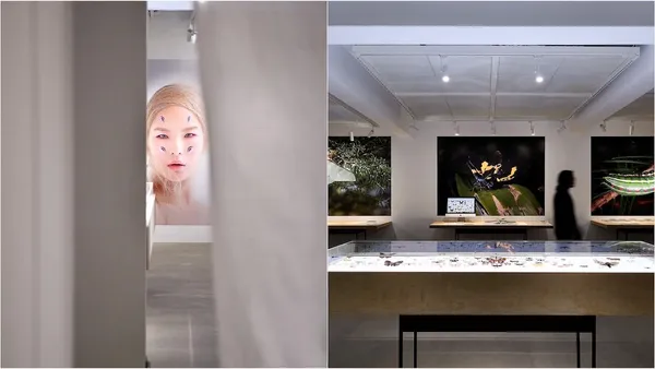 三方設計好手共謀！「森3 SUN SUN MUSEUM」新揭幕，首展《森山蛾》打破你對展的想像！