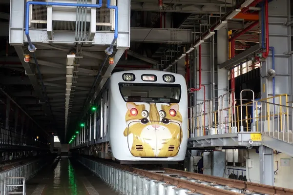 台鐵「里山動物列車2.0」車廂內裝公開！不只是彩繪車廂，更是移動的生態展覽平台