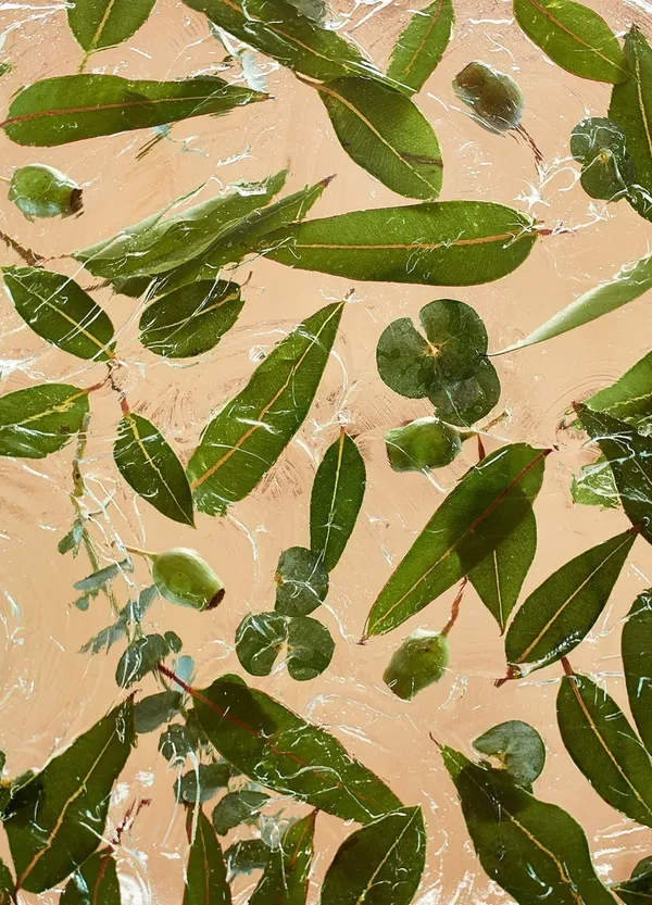 新植物系棉被-桉樹-Breeze-03.jpg