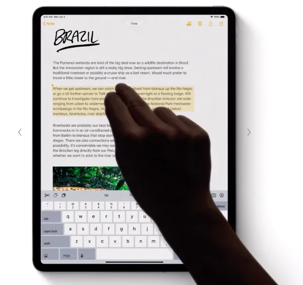 iPadOS