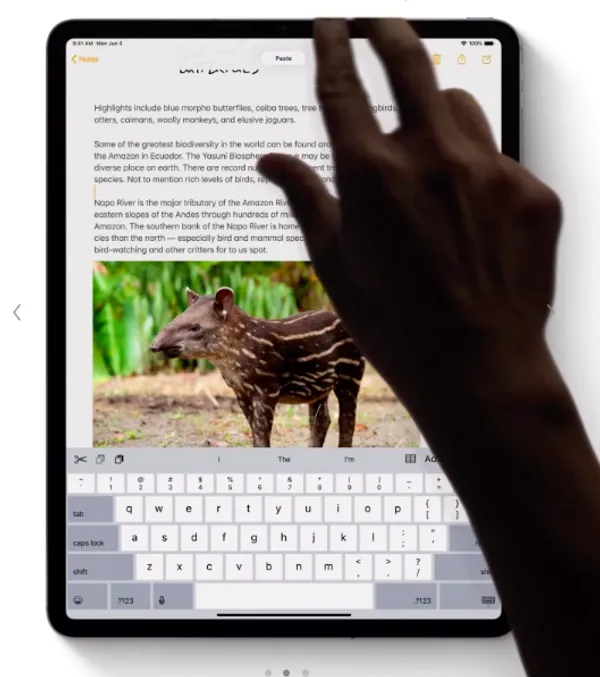 iPadOS