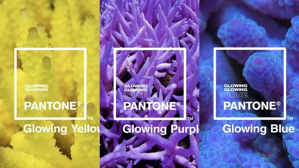 2019年度代表色有後續？「活珊瑚橘」後，Pantone 再發表 3 個氣候變遷影響下的珊瑚色彩