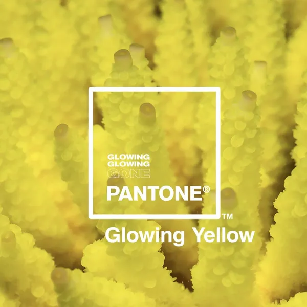 珊瑚-GlowingGone.jpg