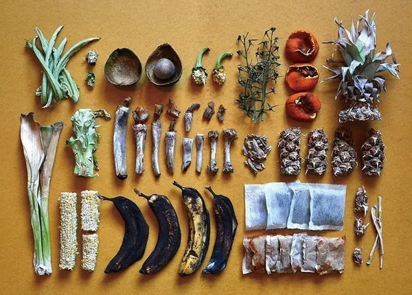 荒木宏介 Kosuke Araki Food Waste Ware 01.jpg