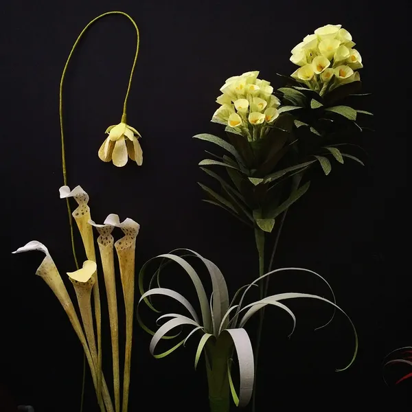 紙花藝術家 Kate Alarcon 05.jpg