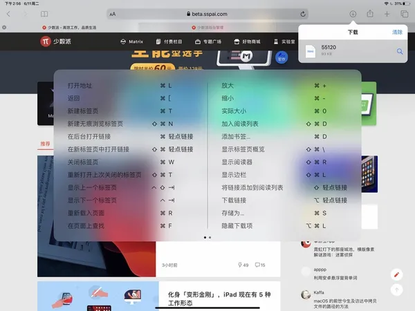 iPadOS