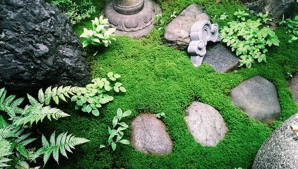 京都-樸宿-庭2.jpg