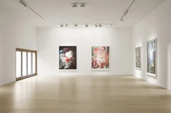 Exhibit_Roses_Nick Knight_06.jpg