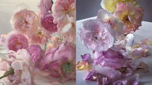 全然專注的美麗與脆弱：傳奇時裝攝影師 Nick Knight ，費時30年、僅用自然光的玫瑰特寫！　