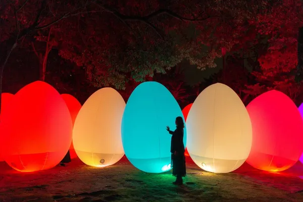 teamLab 下鴨神社 2019 自立而相呼應的生命之森_e1.png