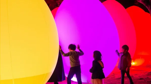 teamLab 下鴨神社 2019 自立而相呼應的生命之森_e3.jpg