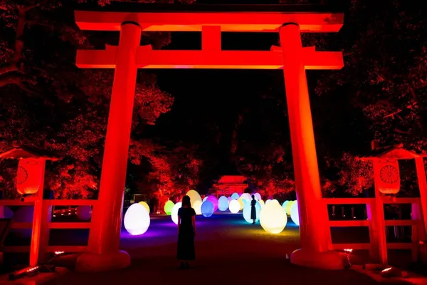 teamLab 下鴨神社 2019 相互呼應的森林與自立呼應的生命 - 下鴨神社 糺之森_c3.jp