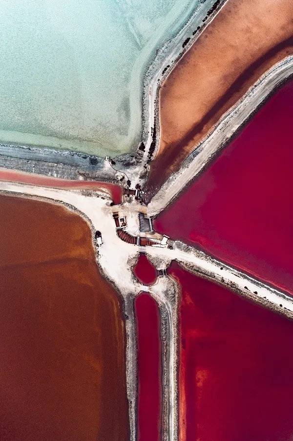 The Salt Series 02.jpg