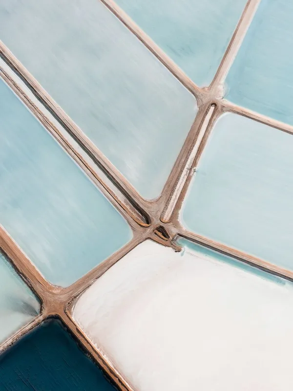 The Salt Series II 02.jpg